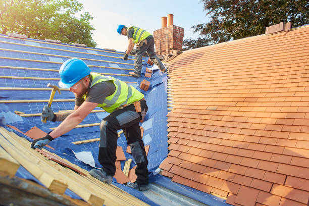 Best Roofing for New Construction  in Murphysboro, IL